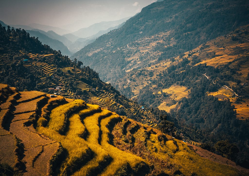 terrain farming in the trekking route of Nepal